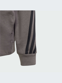 Худи и свитшоты Adidas Icons модель IS4424-KZ Фото