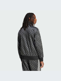 Худи и свитшоты Adidas Graphics модель IS0218-KZ Фото