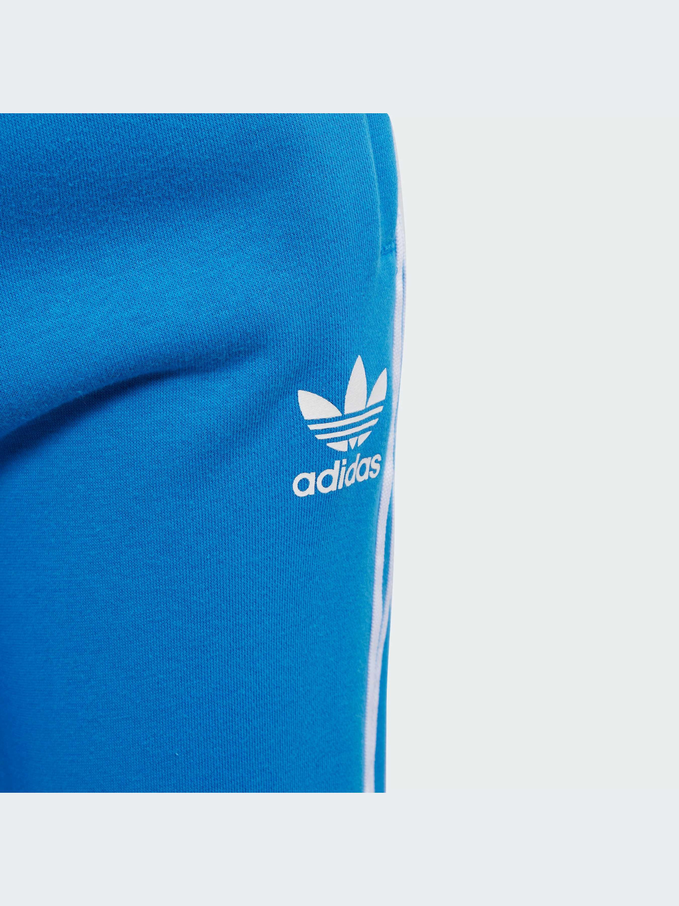 Брюки Adidas Adicolor модель IM9676-KZ Фото