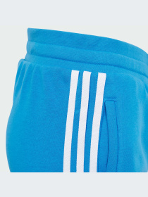 Брюки Adidas Adicolor модель IM9676-KZ Фото