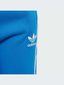 Брюки Adidas Adicolor модель IM9676-KZ Фото