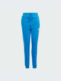 Брюки Adidas Adicolor модель IM9676-KZ Фото