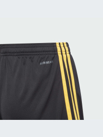 Шорты Adidas модель IB0494-KZ Фото