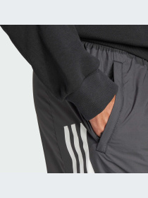 Брюки Adidas модель IN3308-KZ Фото