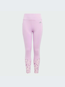 Брюки Adidas модель IQ4063-KZ Фото