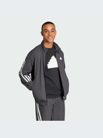 Худи и свитшоты Adidas Icons модель IN3316-KZ Фото