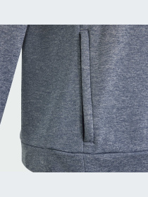 Худи и свитшоты Adidas модель IS1675-KZ Фото