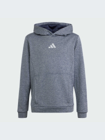 Худи и свитшоты Adidas модель IS1675-KZ Фото