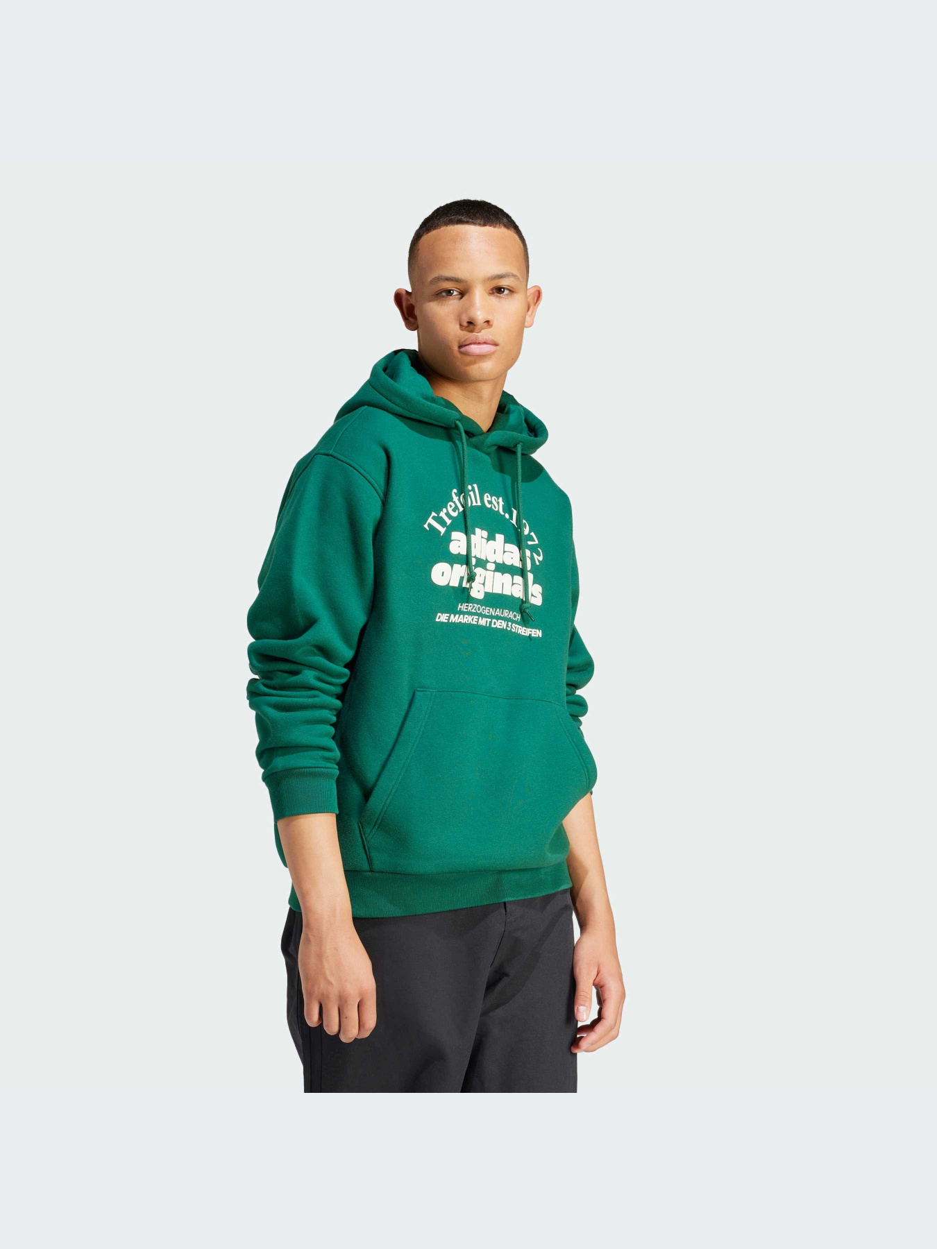 Худи и свитшоты Adidas Graphics модель IS1412-KZ Фото