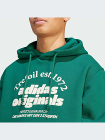 Худи и свитшоты Adidas Graphics модель IS1412-KZ Фото