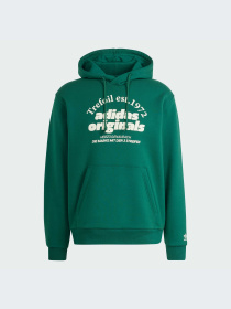 Худи и свитшоты Adidas Graphics модель IS1412-KZ Фото