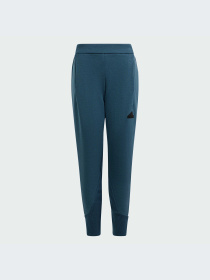 Брюки Adidas ZNE модель IM8397-KZ Фото