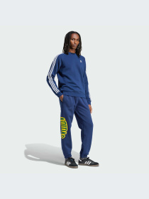 Брюки Adidas Graphics модель IS0196-KZ Фото