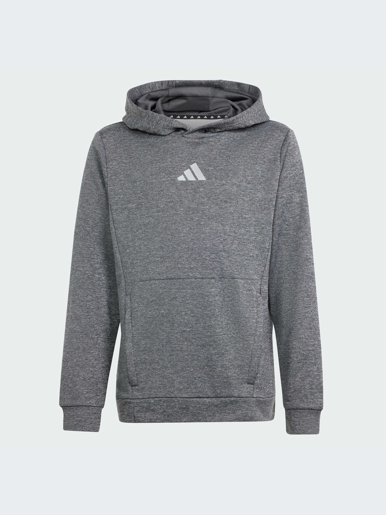 Худи и свитшоты Adidas модель IS1674-KZ Фото