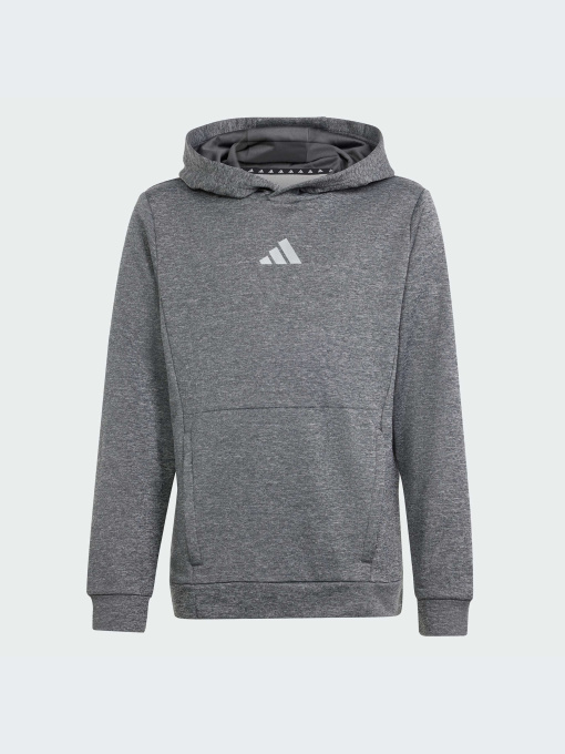 Худи и свитшоты Adidas модель IS1674-KZ Фото