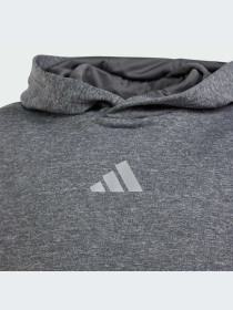 Худи и свитшоты Adidas модель IS1674-KZ Фото