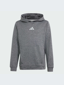 Худи и свитшоты Adidas модель IS1674-KZ Фото