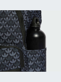 Рюкзаки Adidas Graphics модель IU0009-KZ Фото