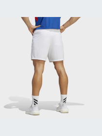 Шорты Adidas модель HT2183-KZ Фото