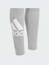 Брюки Adidas модель IS2649-KZ Фото