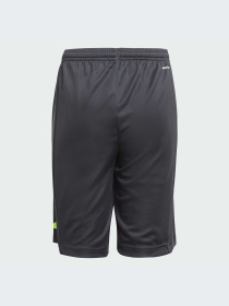 Шорты Adidas Clima модель IA3019-KZ Фото