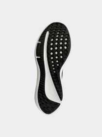 Кроссовки NIKE модель DV4022-003 Фото