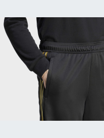 Шорты Adidas Tiro модель IM2906-KZ Фото