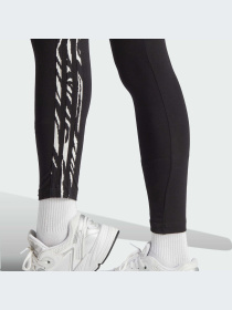Брюки Adidas Graphics модель IJ7782-KZ Фото