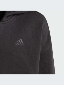 Худи и свитшоты Adidas модель IL4929-KZ Фото