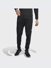 Брюки Adidas модель IJ9612-KZ Фото