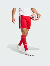 Шорты Adidas модель GN5771-KZ Фото