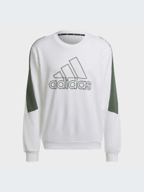 Худи и свитшоты Adidas модель HK4544-KZ Фото