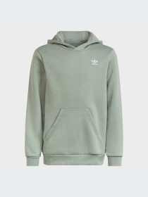Худи и свитшоты Adidas модель IC3147-KZ Фото