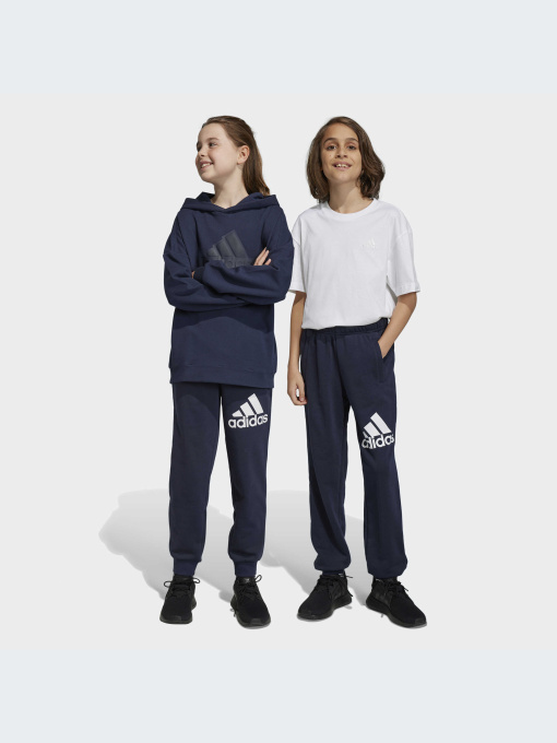 Брюки Adidas модель HR6383-KZ Фото