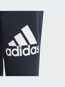 Брюки Adidas модель HR6383-KZ Фото
