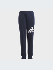 Брюки Adidas модель HR6383-KZ Фото