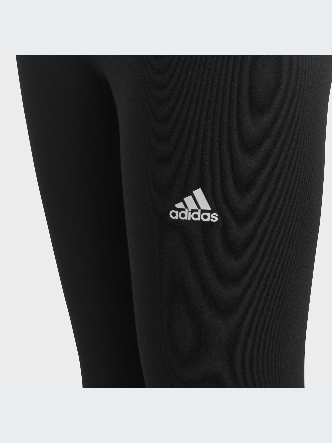 Брюки Adidas модель IC3579-KZ Фото
