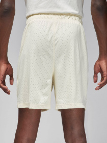 Шорты NIKE модель FN5816-113 Фото