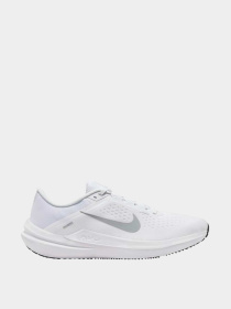 Кроссовки NIKE модель DV4022-102 Фото