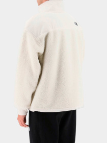 Худи и свитшоты The North Face модель NF0A5GFJN3N1 Фото