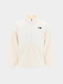 Худи и свитшоты The North Face модель NF0A5GFJN3N1 Фото