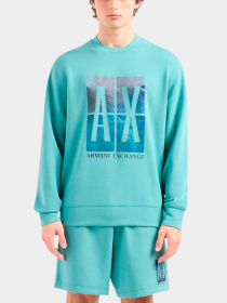 Худи и свитшоты Armani Exchange модель 3DZMJE-ZJZDZ-15DG Фото