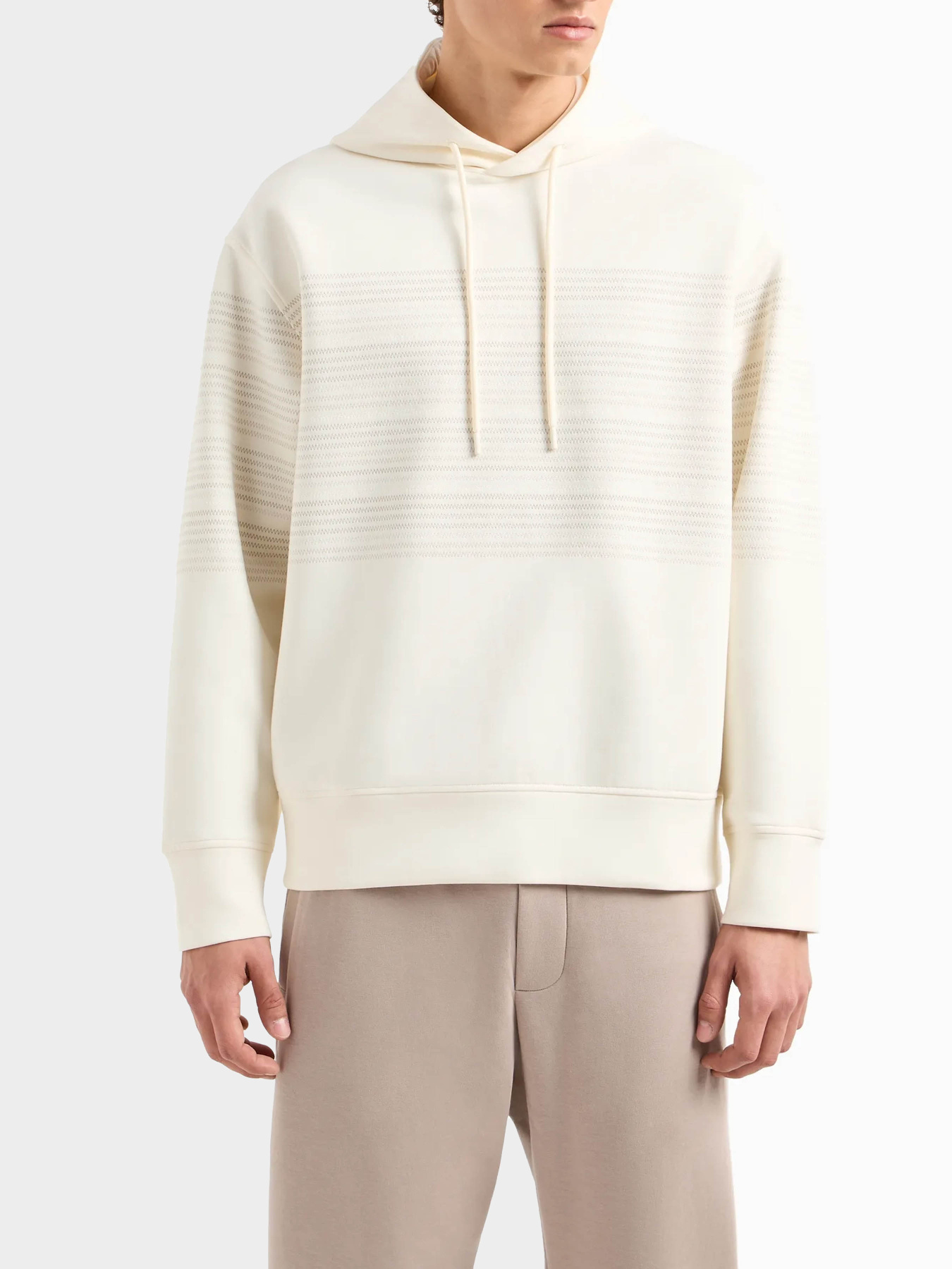 Худи и свитшоты Emporio Armani модель 3D1M71-1JHSZ-0128 Фото