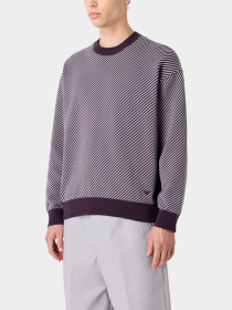 Худи и свитшоты Emporio Armani модель 3D1MXP-1MPNZ-F815 Фото