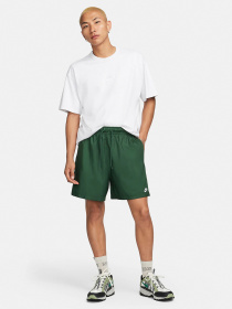Шорты NIKE модель FN3307-323 Фото