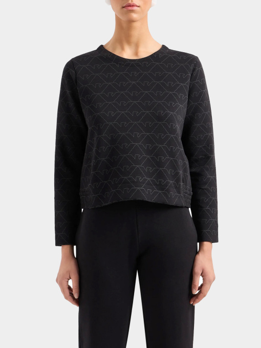 Худи и свитшоты Emporio Armani модель 3D2M6H-1JHSZ-F010 Фото