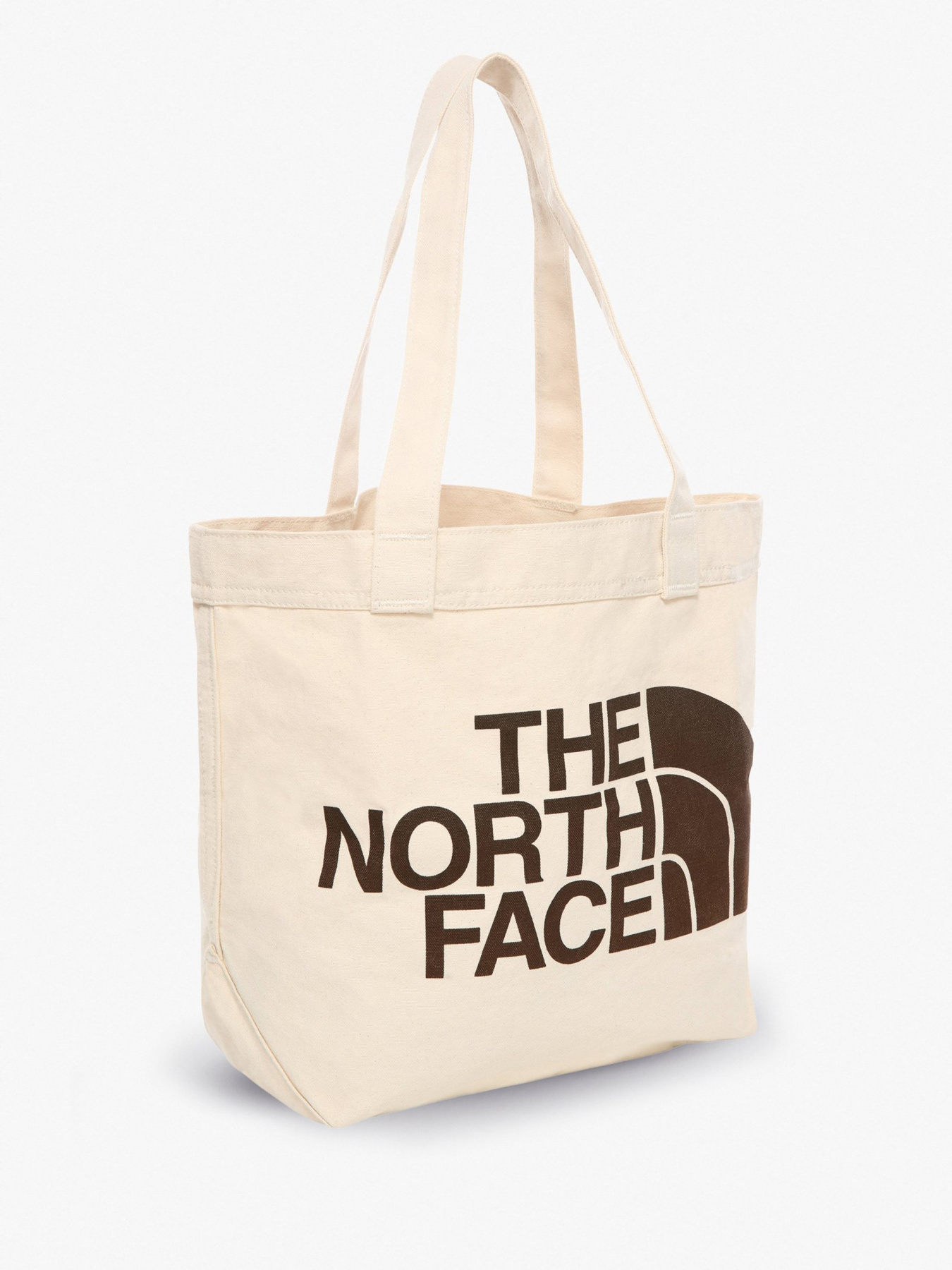 Сумки The North Face модель NF0A3VWQR171 Фото