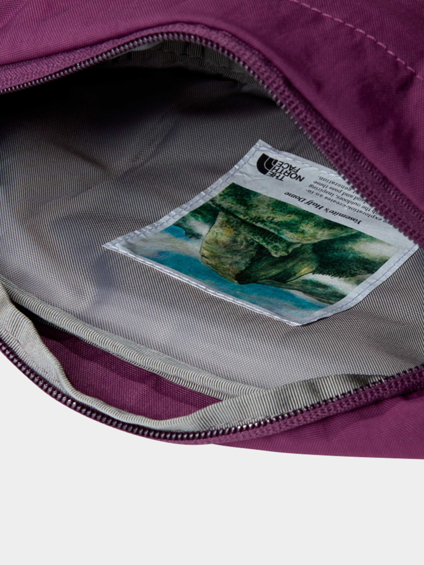 Сумки The North Face модель NF0A52VUTIH1 Фото