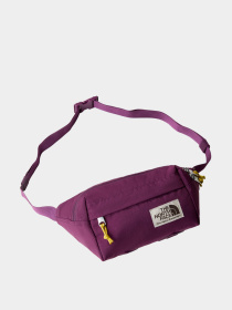 Сумки The North Face модель NF0A52VUTIH1 Фото