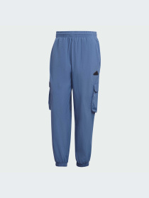 Брюки Adidas модель IR5165-KZ Фото